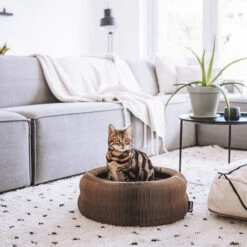 District 70 Maze -Huisdierbenodigdheden district 70 maze 190927 0500 none