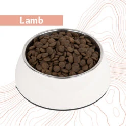 Antelope Fresh Adult Hondenvoer -Huisdierbenodigdheden dnlmZiK5CGm1AT44rBAIQzpXogTZ11 metaYW50ZWxvcGVfZnJlc2hfYWR1bHRfaG9uZGVudm9lcl9sYW1iLmpwZw