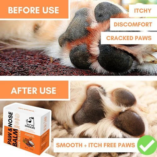 Dogslife Paw & Nose Balm 5 Dogslife Paw & Nose Balm - Afbeelding 5