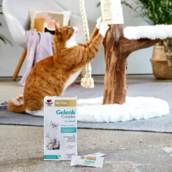 Doppelherz Gelenk Complex Voor Katten -Huisdierbenodigdheden doppelherz gelenk complex fuer katzen 195053 1000 none