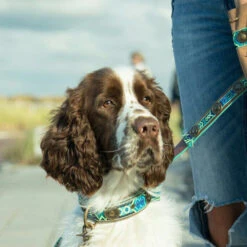 DWAM Halsband Boho Juan 22 DWAM Halsband Boho Juan -Huisdierbenodigdheden dwam halsband boho juan 133658 0500 none