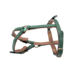 DWAM Hondentuigje Ivy 14 DWAM Hondentuigje Ivy -Huisdierbenodigdheden dwam hondentuigje ivy 182737 1000 none