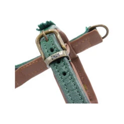 DWAM Hondentuigje Ivy 15 DWAM Hondentuigje Ivy -Huisdierbenodigdheden dwam hondentuigje ivy 182740 1000 none