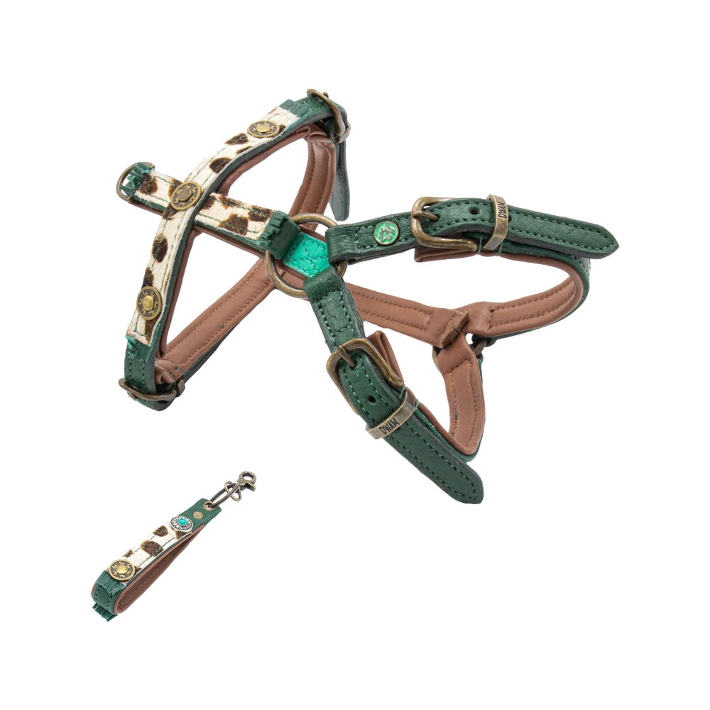 DWAM Hondentuigje Ivy 1 DWAM Hondentuigje Ivy