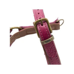 DWAM Hondentuigje Lou Lou -Huisdierbenodigdheden dwam hondentuigje lou lou 182158 1000 none