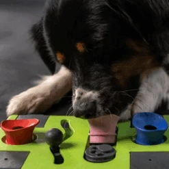 Eat Slow Live Longer Puzzle Antischrok Voerbak -Huisdierbenodigdheden eat slow live longer puzzle antischrok voerbak 220720 0500 none