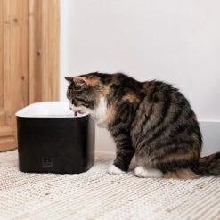 Ebi Manoa Drinkfontein -Huisdierbenodigdheden ebi manoa drinkfontein 221800 1000 none