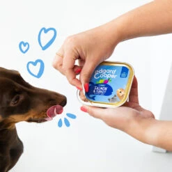 Edgard & Cooper Adult - Zalm & Kalkoen - Kuipje -Huisdierbenodigdheden edgard cooper adult zalm kalkoen kuipje 208616 1000 none