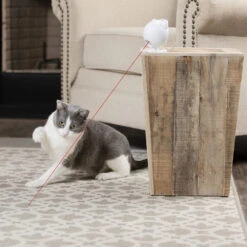 Frolicat Dancing Dot 9 Frolicat Dancing Dot -Huisdierbenodigdheden frolicat dancing dot 184735 1000 none