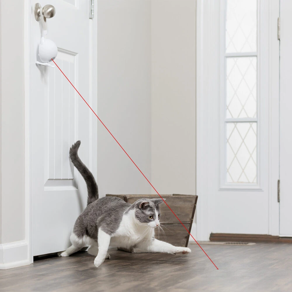 Frolicat Dancing Dot 6 Frolicat Dancing Dot - Afbeelding 6