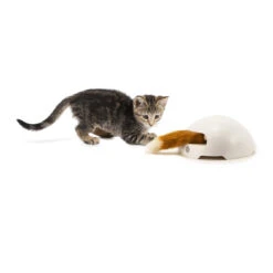 FroliCat Fox -Huisdierbenodigdheden frolicat fox 136600 2000 none