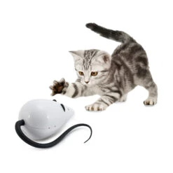 FroliCat RoloRat 9 FroliCat RoloRat -Huisdierbenodigdheden frolicat rolorat 136585 2000 none