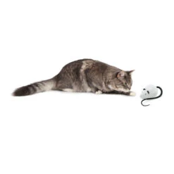 FroliCat RoloRat 10 FroliCat RoloRat -Huisdierbenodigdheden frolicat rolorat 136588 2000 none