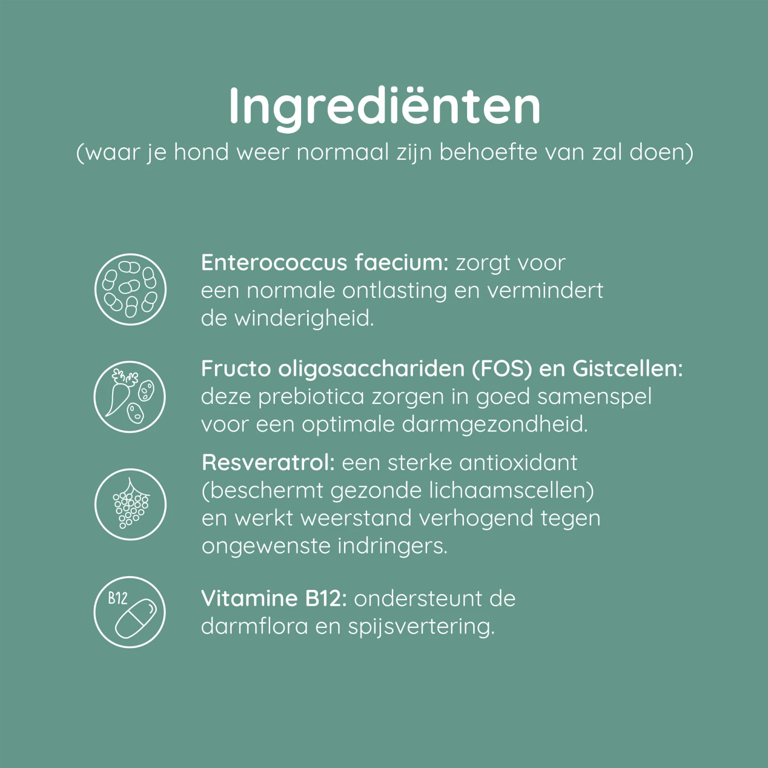 Greenfields Probiotics+ 6 Greenfields Probiotics+ - Afbeelding 6