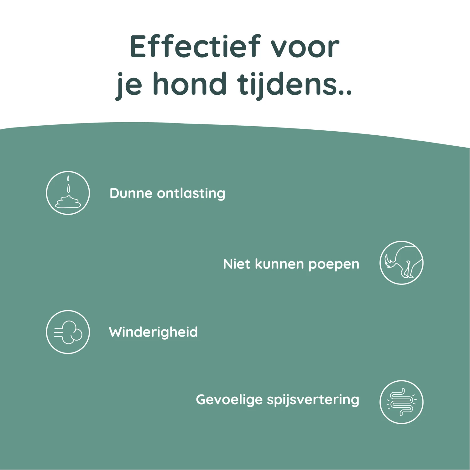 Greenfields Probiotics+ 5 Greenfields Probiotics+ - Afbeelding 5