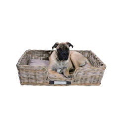 Happy House Rieten Mand Recht -Huisdierbenodigdheden happy house rieten mand recht 167215 1000 none