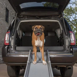 Happy Ride Compact Telescoping Dog Ramp -Huisdierbenodigdheden happy ride compact telescoping dog ramp 162826 1000 none