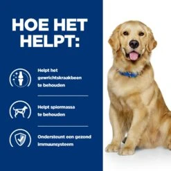 Hill's J/d Joint Care - Prescription Diet - Canine 8 Hill's J/d Joint Care - Prescription Diet - Canine -Huisdierbenodigdheden hills jd joint care prescription diet canine 218018 2000 none