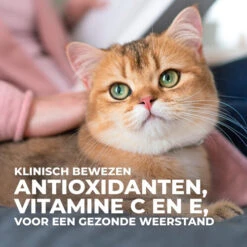 Hill's Science Plan - Feline Adult - Perfect Weight -Huisdierbenodigdheden hills science plan feline adult perfect weight 218578 0500 none