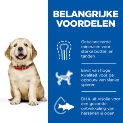 Hill's Science Plan - Large Puppy -Huisdierbenodigdheden hills science plan puppy large chicken 218508 0500 none