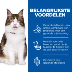 Hill's Science Plan Adult Perfect Digestion Kattenvoer -Huisdierbenodigdheden hills science plan adult perfect digestion kattenvoer 181150 0500 none