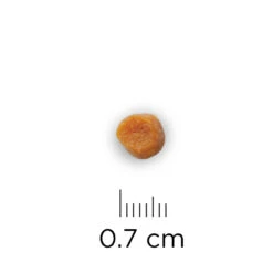 Phytonics L-Lysine Comp -Huisdierbenodigdheden hills yd thyroid care prescription diet feline 147521 1000 none