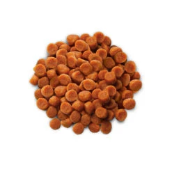 Phytonics L-Lysine Comp -Huisdierbenodigdheden hills yd thyroid care prescription diet feline 147524 1000 none