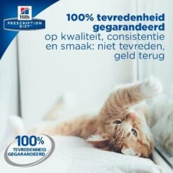 Phytonics L-Lysine Comp -Huisdierbenodigdheden hills yd thyroid care prescription diet feline 147542 0500 none