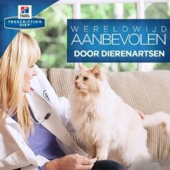 Phytonics L-Lysine Comp -Huisdierbenodigdheden hills yd thyroid care prescription diet feline 147551 0500 none