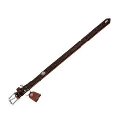 Hunter Halsband Cody 17 Hunter Halsband Cody -Huisdierbenodigdheden hunter halsband cody 116502 0500 none