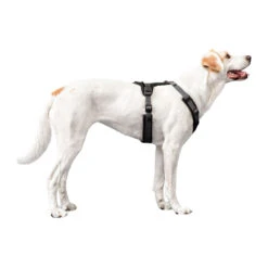 Hunter Harness Maldon 38 Hunter Harness Maldon -Huisdierbenodigdheden hunter harness maldon 223765 1500 none