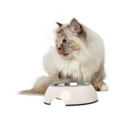 Hunter Melamine Voer- En Drinkbak - Wit 16 Hunter Melamine Voer- En Drinkbak - Wit -Huisdierbenodigdheden hunter melamine voer en drinkbak wit 169570 0500 none