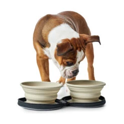 Hunter Siliconen Reiskommen In Tasje -Huisdierbenodigdheden hunter siliconen reiskommen in tasje 175747 2000 none