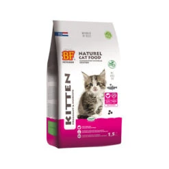 Biofood BF®Petfood Kitten -Huisdierbenodigdheden i33eYrlatoxZcXQ57UWQ8a862SwzfL metaYmZwZXRmb29kX2tpdHRlbl8yMTA1MDZfMDUwMF9ub25lLmpwZw