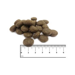 ICEPAW Scandic Duck 9 ICEPAW Scandic Duck -Huisdierbenodigdheden icepaw scandic duck 221035 1000 none