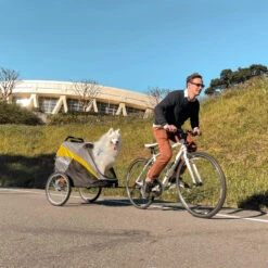 InnoPet Buggy Hercules -Huisdierbenodigdheden innopet buggy hercules 196502 2000 none