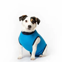 Jacketz Medical Body Suit Hond -Huisdierbenodigdheden jacketz medical body suit hond s blue 129592 2000 none