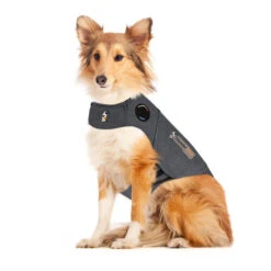 Thundershirt Hond 10 Thundershirt Hond -Huisdierbenodigdheden jpbM91evrKZv3JzhxJfJF0FruqLREb metaVGh1bmRlcnNoaXJ0LmpwZw
