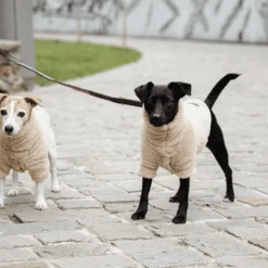 Kentucky Dogwear Hondenjas Teddy Fleece 21 Kentucky Dogwear Hondenjas Teddy Fleece -Huisdierbenodigdheden kentucky dogwear hondenjas teddy fleece 219186 0500 none