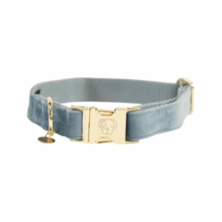 Kentucky Dogwear Velvet Hondenhalsband 39 Kentucky Dogwear Velvet Hondenhalsband -Huisdierbenodigdheden kentucky dogwear velvet hondenhalsband 219232 0500 none