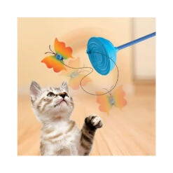 KONG Cat Teaser Purrsuit Vlinder -Huisdierbenodigdheden kong cat teaser purrsuit vlinder 217713 1000 none