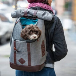 Kurgo K9 Rugzak -Huisdierbenodigdheden kurgo k9 rugzak 208103 0500 none