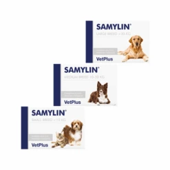 Vetplus Samylin - Tabletten -Huisdierbenodigdheden lRF8IkLt3luJlpnTpOTubDweumuTDX metadmV0cGx1c19zYW15bGluXzIwNDUxNV8wNTAwX25vbmUucG5n