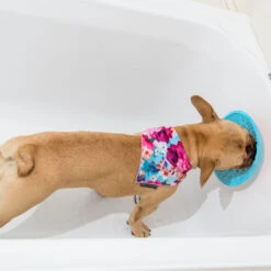 LickiMat Splash 5 LickiMat Splash -Huisdierbenodigdheden lickimat splash 164212 2000 none