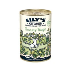 Lily's Kitchen Hondenvoer - Blik -Huisdierbenodigdheden lilys kitchen hondenvoer blik 202370 0500 none