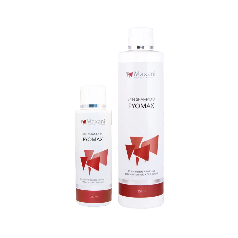 Maxani PyoMax Skin Shampoo 3 Maxani PyoMax Skin Shampoo - Afbeelding 3