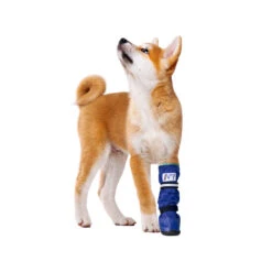 Medical Pet Shirt Boot -Huisdierbenodigdheden medical pets boot 167479 1000 none