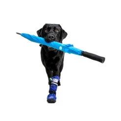 Medical Pet Shirt Boot -Huisdierbenodigdheden medical pets boot 167482 1000 none