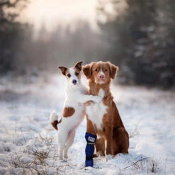 Medical Pet Shirt Boot -Huisdierbenodigdheden medical pets boot 167509 0500 none