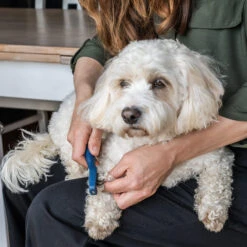 Mikki Doodle De-Matter -Huisdierbenodigdheden mikki doodle de matter 194483 2000 none